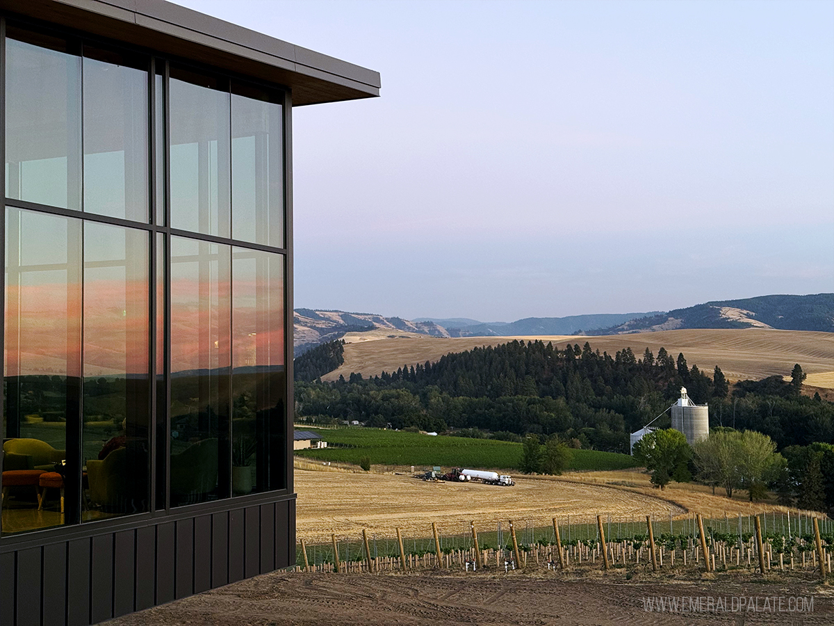 tasting room in Walla Walla, one of the best things to do in Washington state