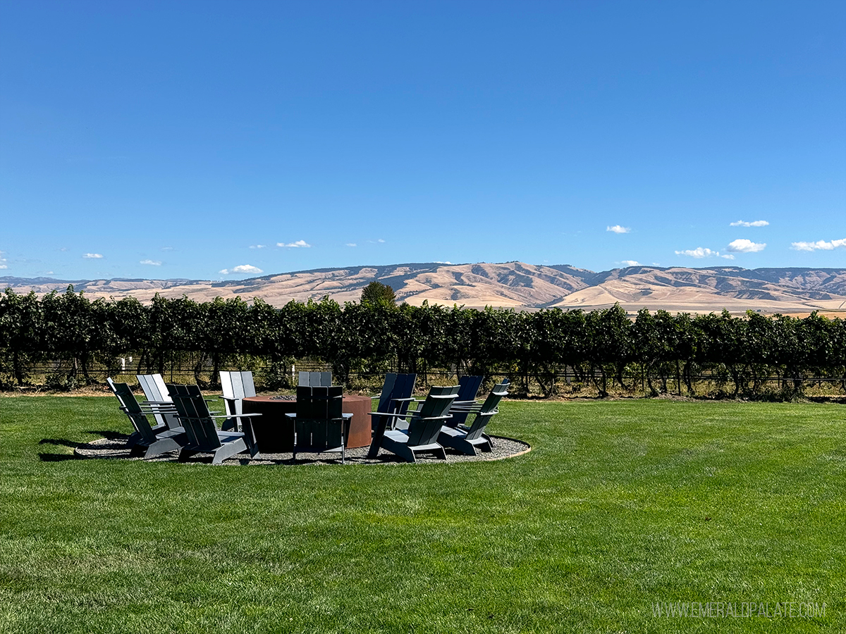 Walla Walla mountains and vineyards with Adirondack chairs around a fire pit