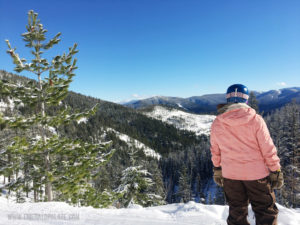 Ski Idaho Tips: What to Expect Driving from Seattle to Idaho