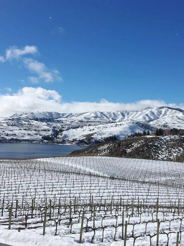 Lake Chelan är en fantastisk vinregion i centrala Washington som bara ligger en kort bilresa från Winthrop, WA. Det är perfekt för en dagsutflykt efter en lång dag med skidåkning under din vinterresa!'s perfect for a day trip after a long day of skiing during your winter trip!