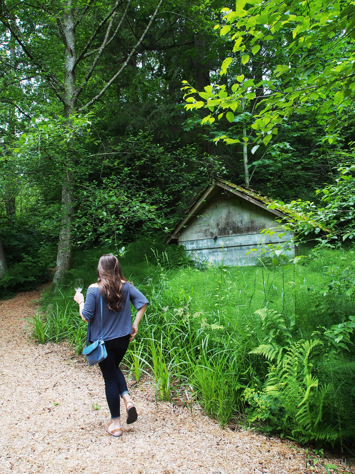 woman walking through a lush forest path at one of the best Woodinville wineries