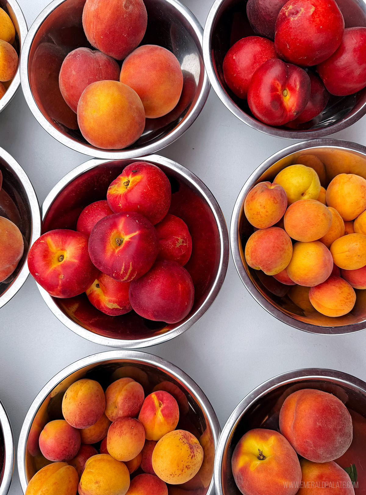 stone fruit on a table at the Olympia Farmers Market