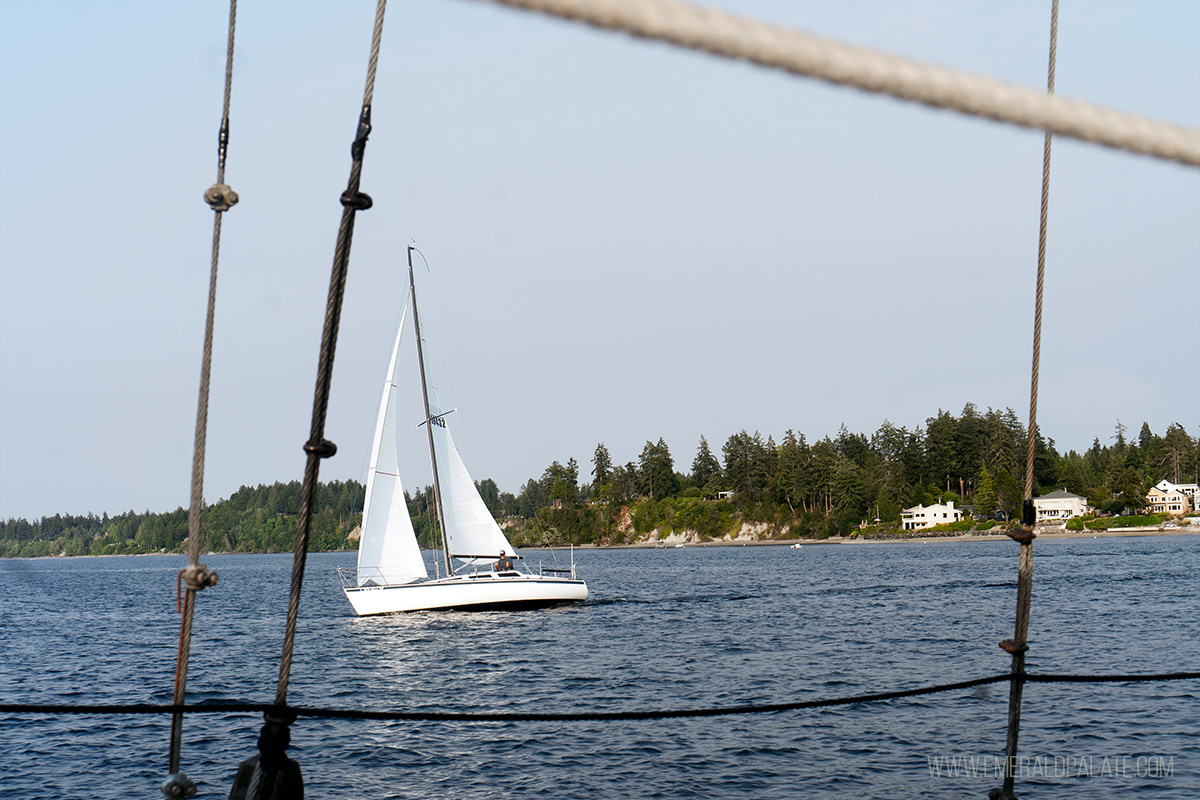 Sailboat on the Puget Sound