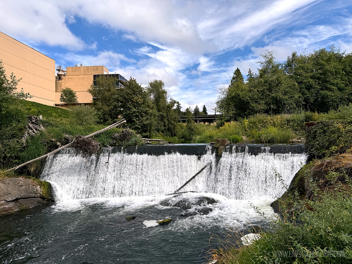 Tumwater Falls, one of the best things to do in Olympia, WA