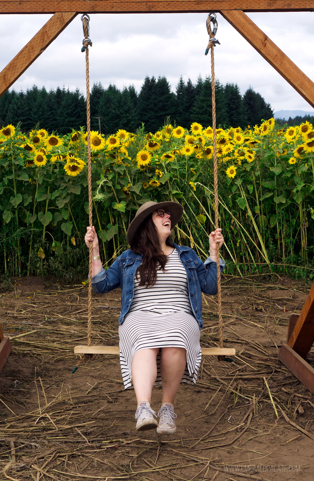 woman on a swing at a sunflower farm, one of the best things to do in Olympia, WA