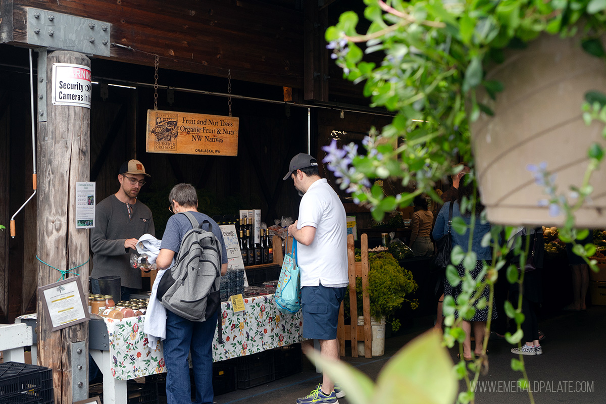 people shopping at the Olympia Farmers Market, one of the best things to do in Olympia, WA