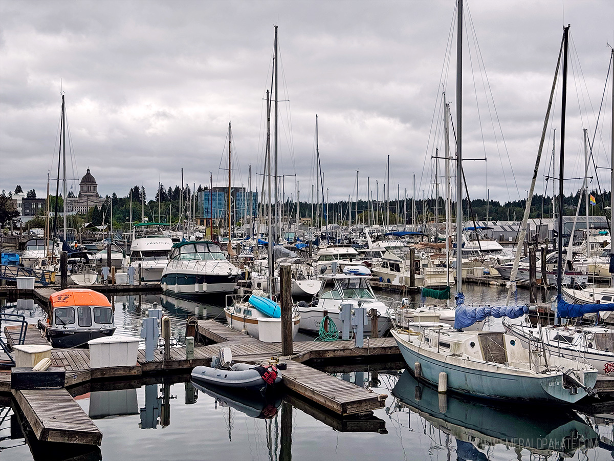 sailboats in the harbor of Olympia