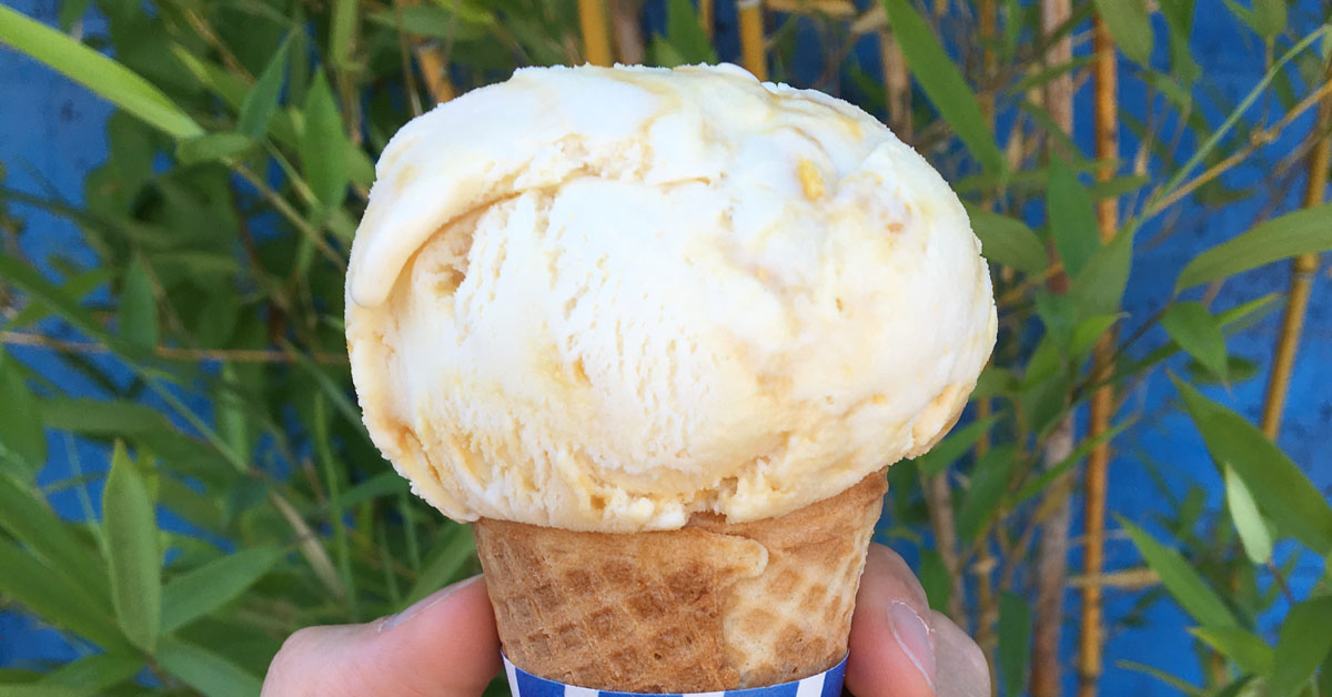Best Ice Cream Shops in Seattle: The 2023 Controversial List