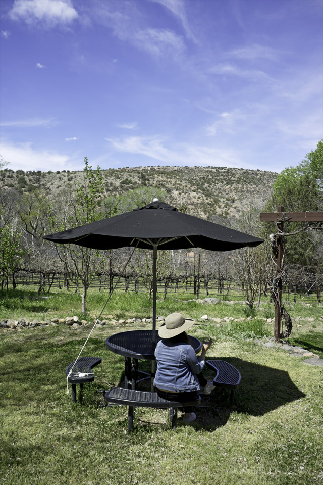  Page Spring Cellars es una bodega en Arizona que ofrece hermosos viñedos y degustación de vinos cerca de Sedona. Si está buscando bodegas de Cottonwood, asegúrese de que este lugar esté en su lista.