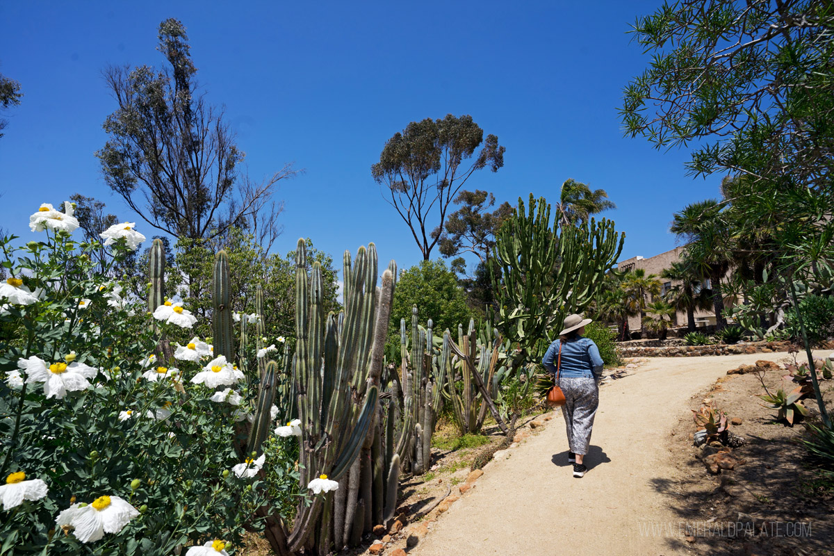 woman walking through a cactus garden at Balboa Park in SD