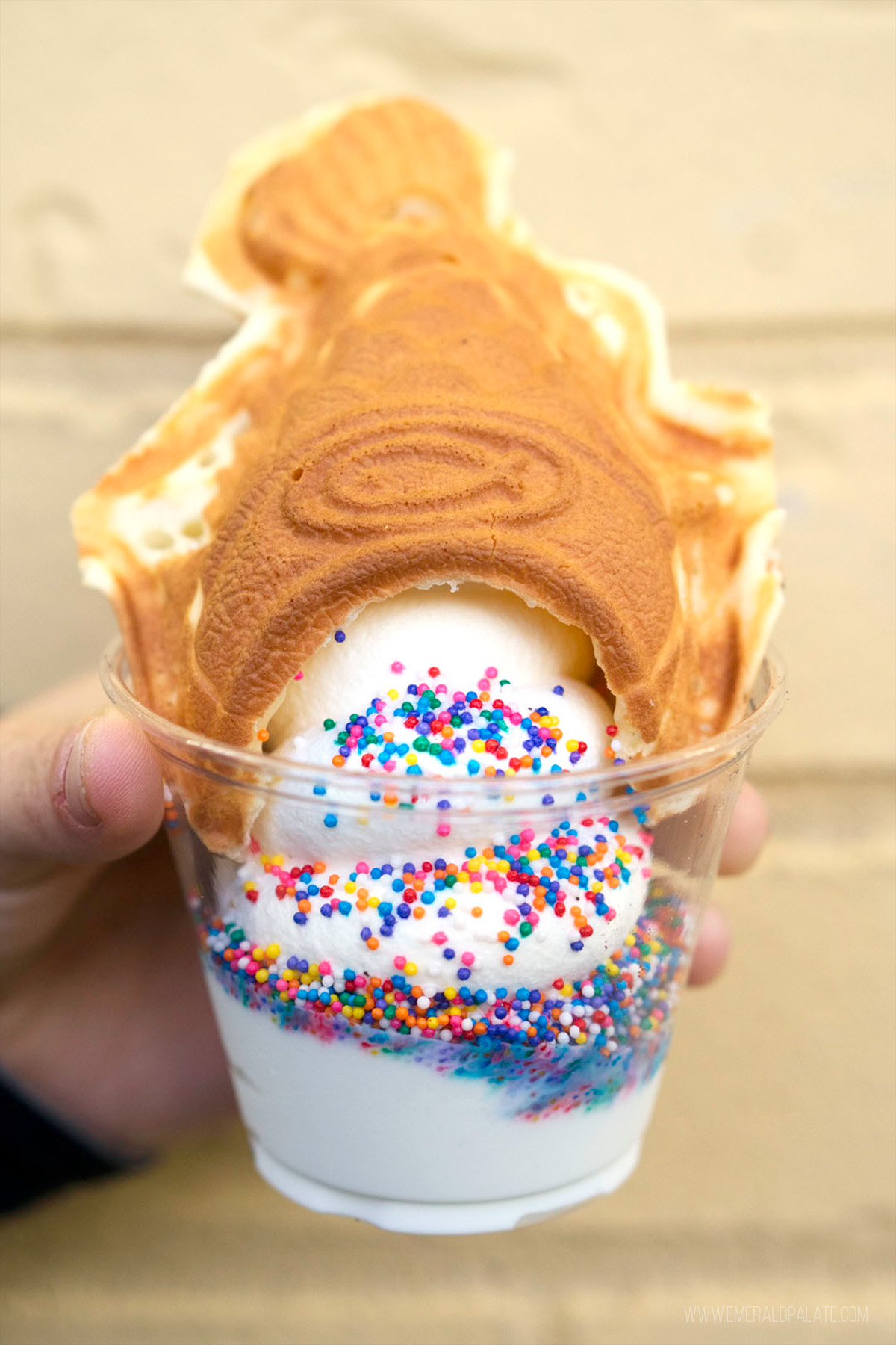 taiyaki, some of the best food in Tacoma WA