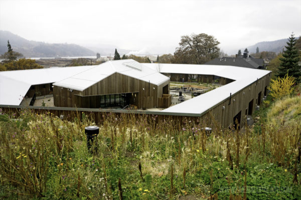 Visiting Columbia River Gorge: Everything You Need To Know