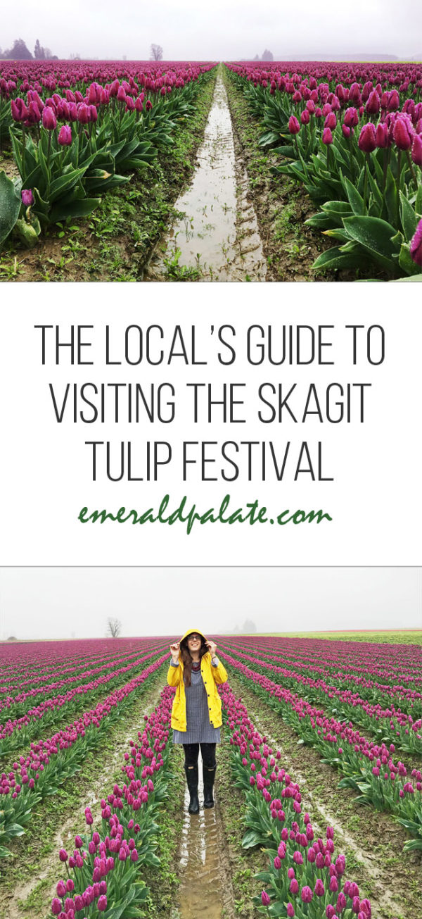 2023 Seattle Tulip Festival A Local's Guide to Avoiding Crowds