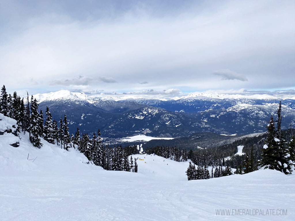 mountain vista from the top of Whistler Blackcomb