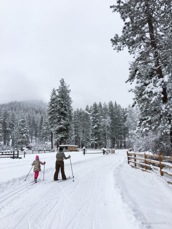 The Best Cross Country Skiing in Washington The Emerald Palate