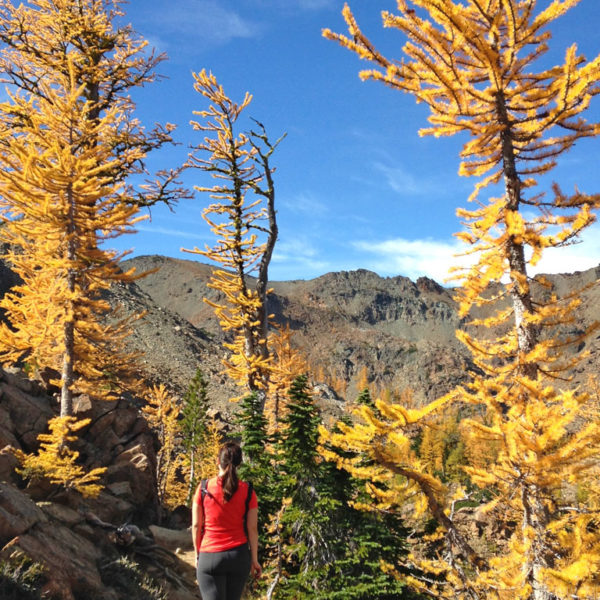 woman walking on a trail surrounded by larches