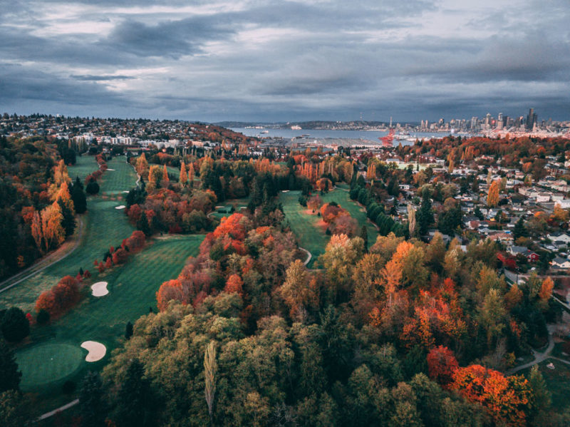 Where to Find the Best Fall Foliage in Seattle (2023) The Emerald Palate
