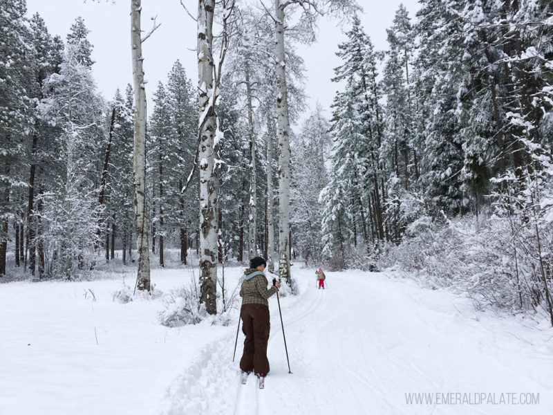 14 Cozy Things To Do In Leavenworth Wa In Winter The Emerald Palate