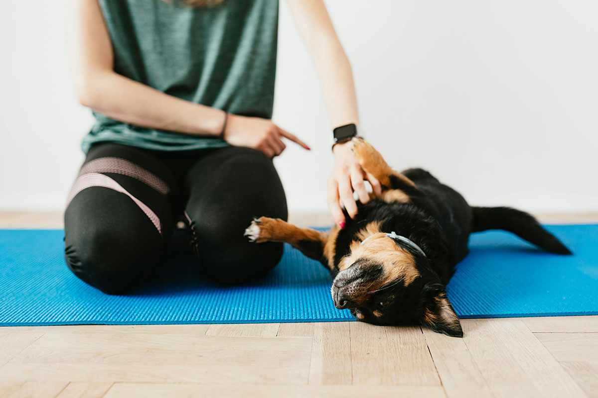 yogi petting a dog on a yoga mat