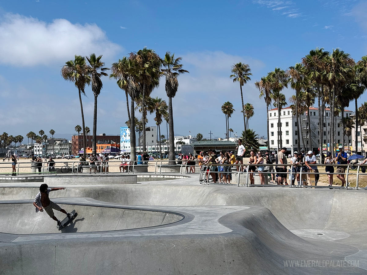 Venice Beach Skate Park