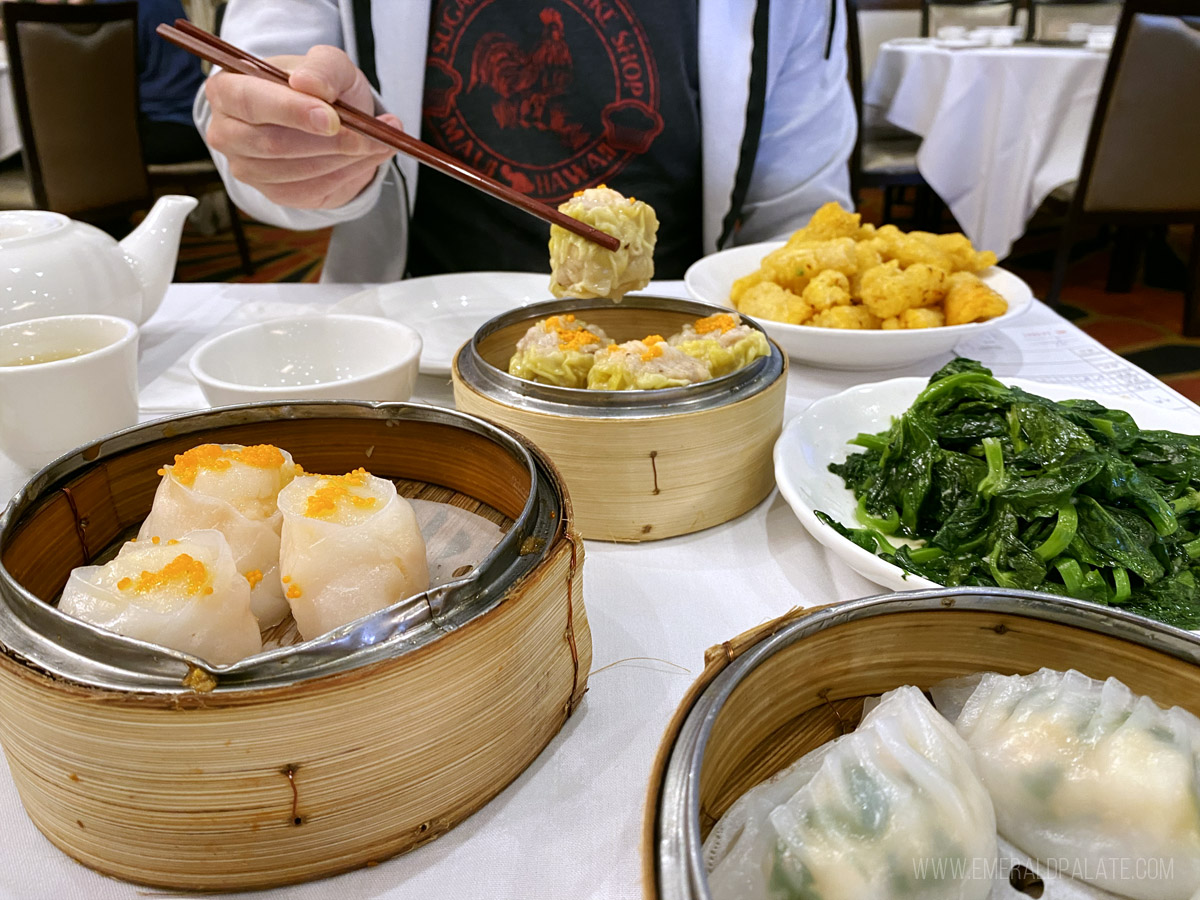 person picking up dumplings at one of the hidden gem restaurants in Vancouver BC