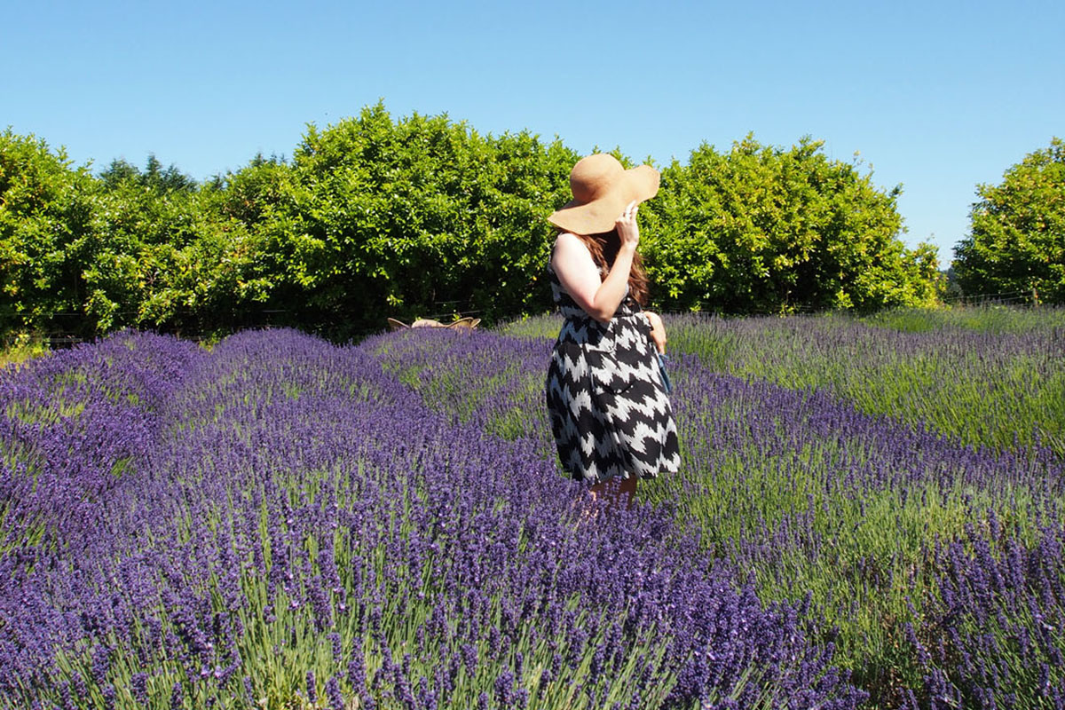 Women in a lavender field with a big floppy hot enjoying one of the best summer vacations in Washington state