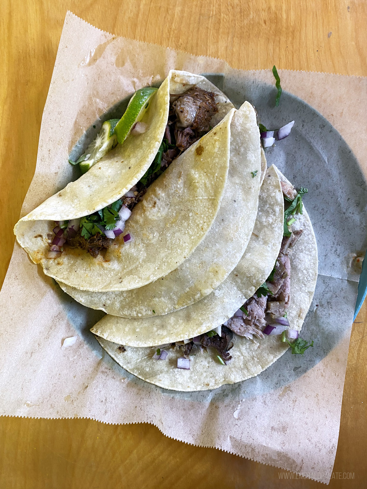 large tacos from one of Seattle's best Mexican restaurants