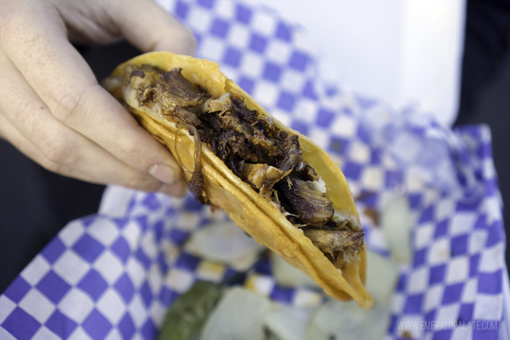 person holding a crispy fried taco