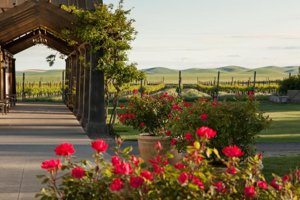 The terrace overlooking vineyards at the Inn at Abeja