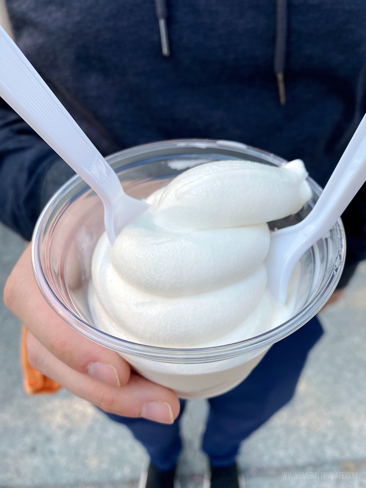 person holding soft serve vanilla ice cream, one of the best things to do in Anacortes WA