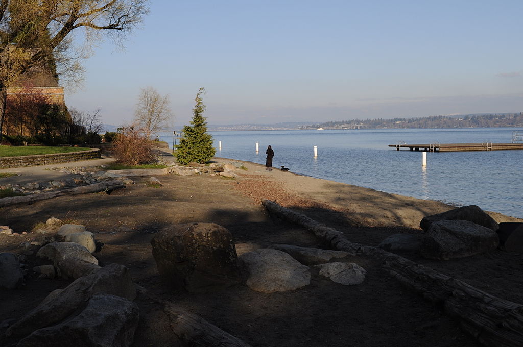 Madrona Park in Seattle