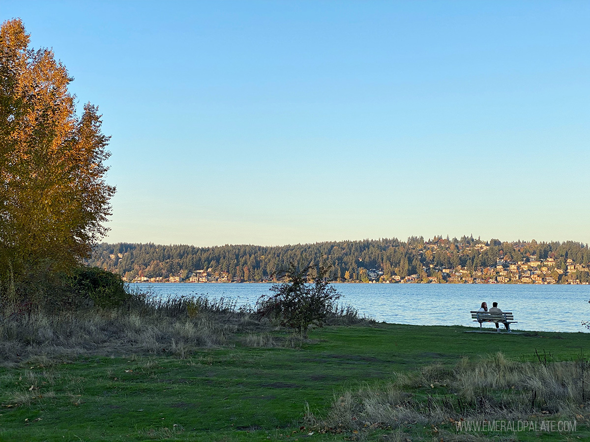 Magnuson Park on Lake Washington, one of the best Seattle Parks