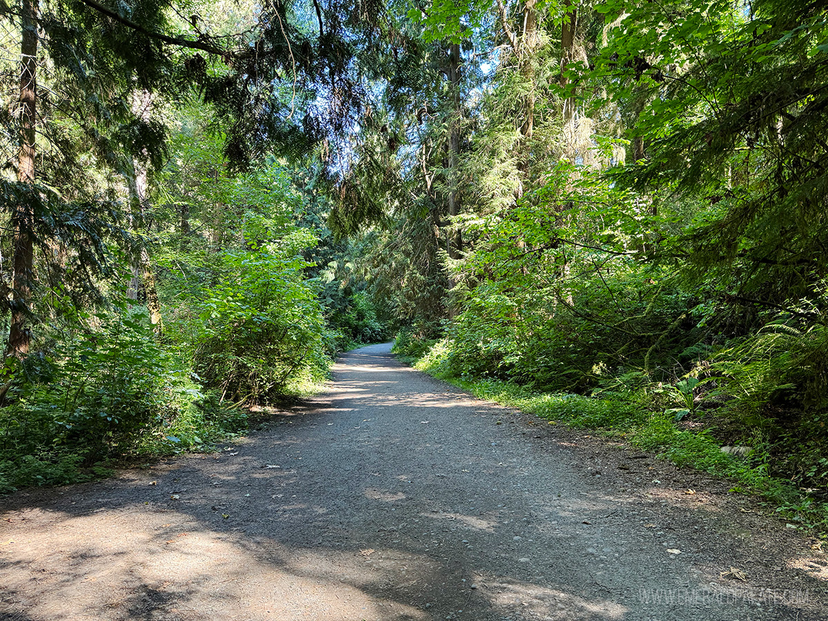 Ravenna Park walking trail