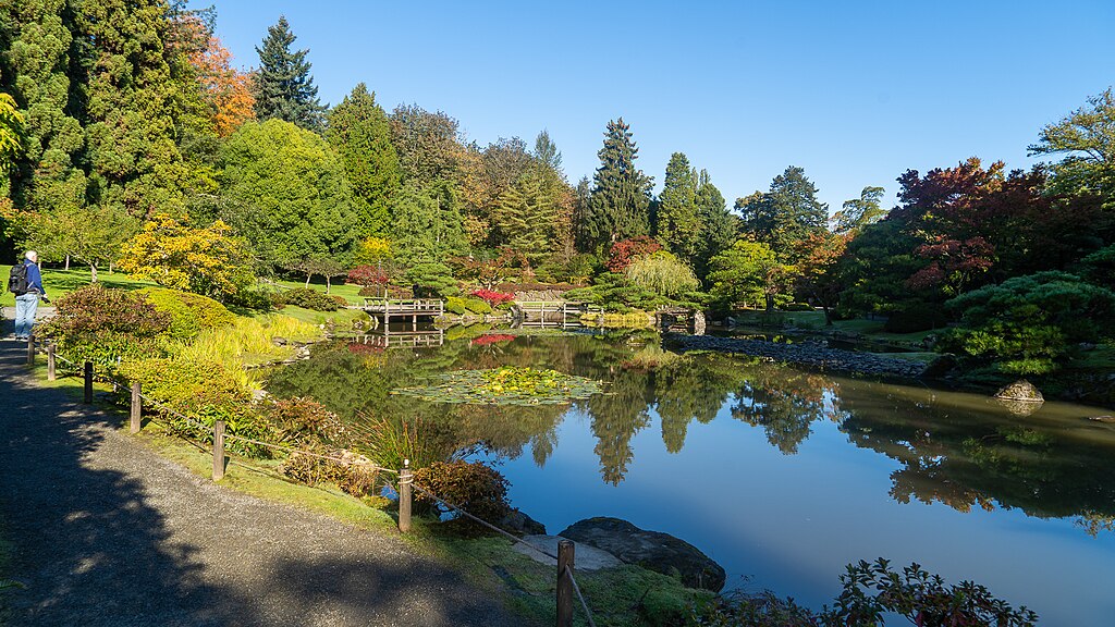 Washington Arboretum, one of the best parks in Seattle