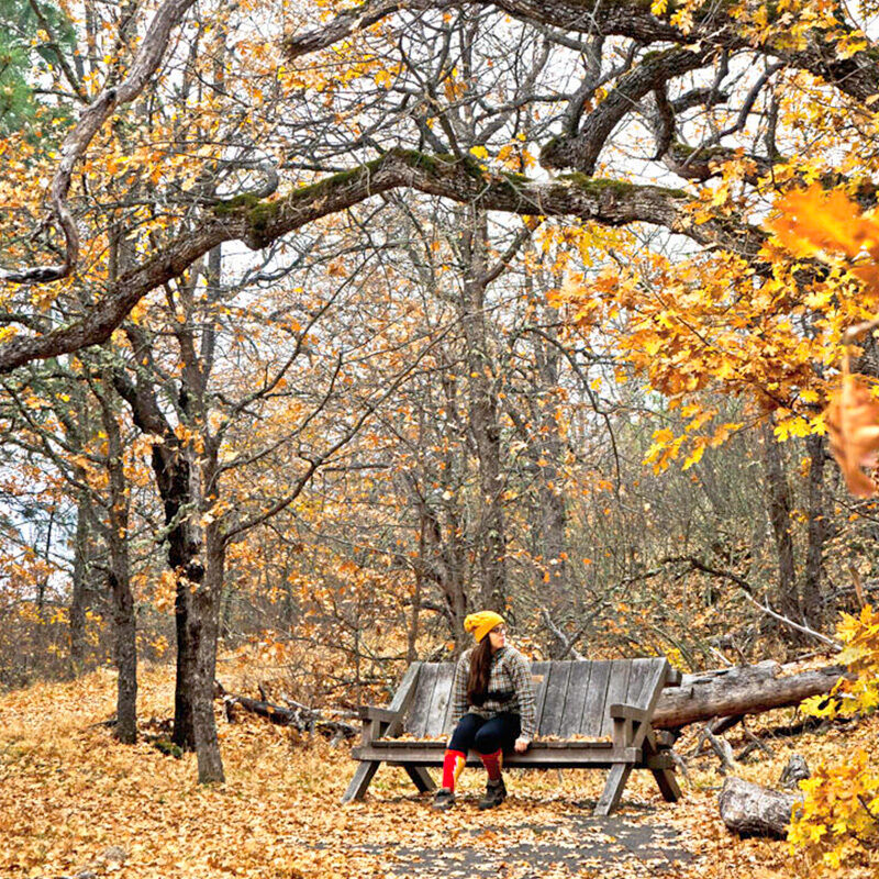 woman sitting among fall leaves, one of the best things to do in Seattle in October