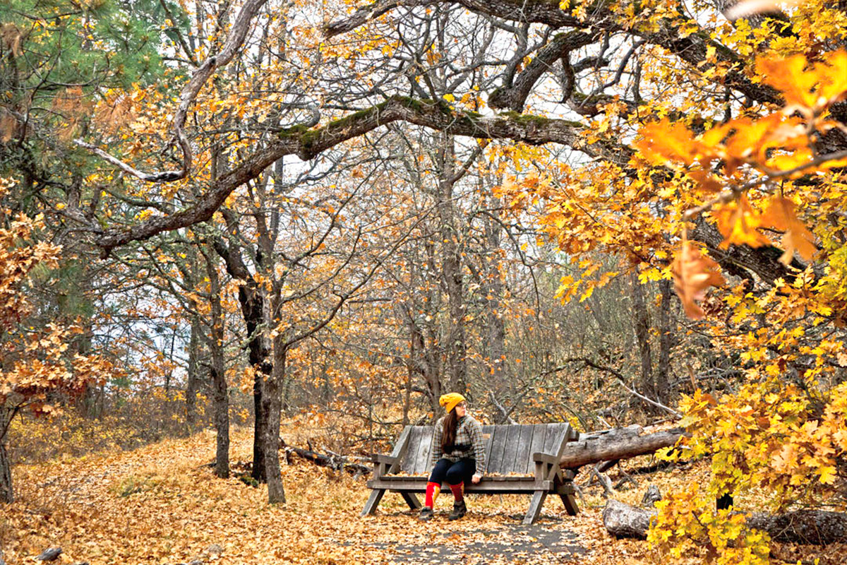 woman sitting among fall leaves, one of the best things to do in Seattle in October