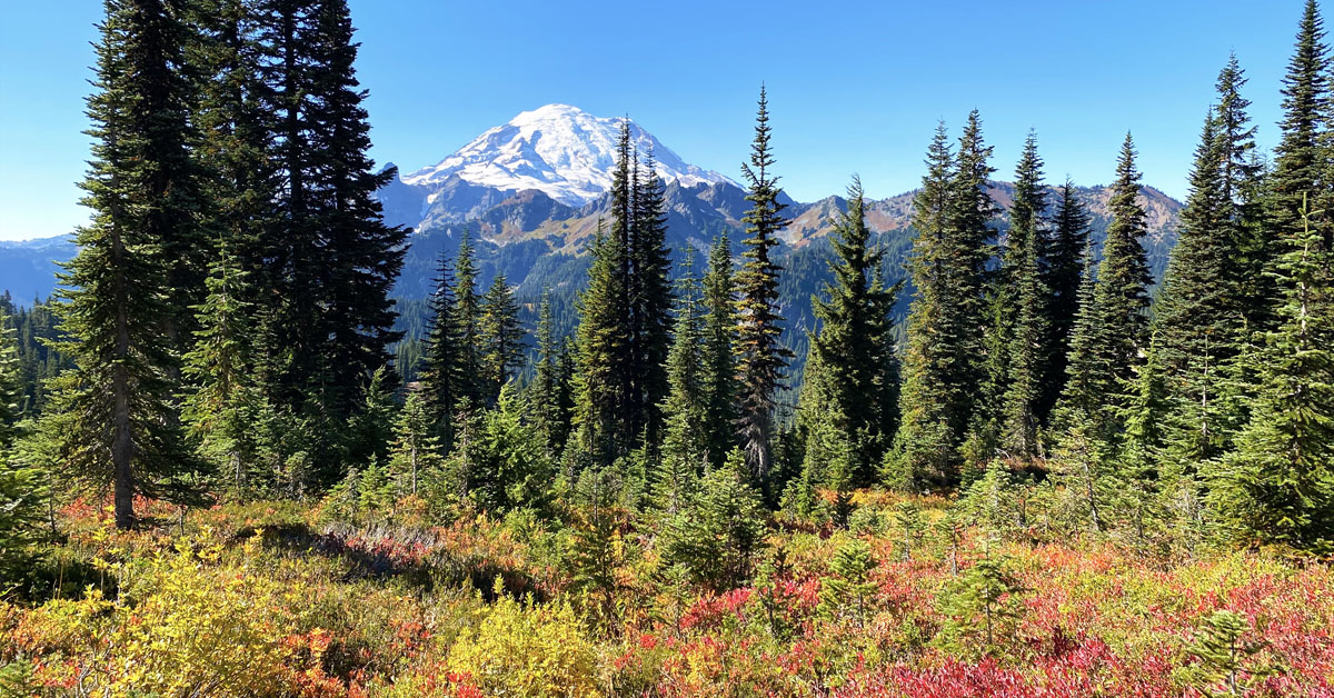 Mt Rainier in fall, one of the best things to do in Washington state