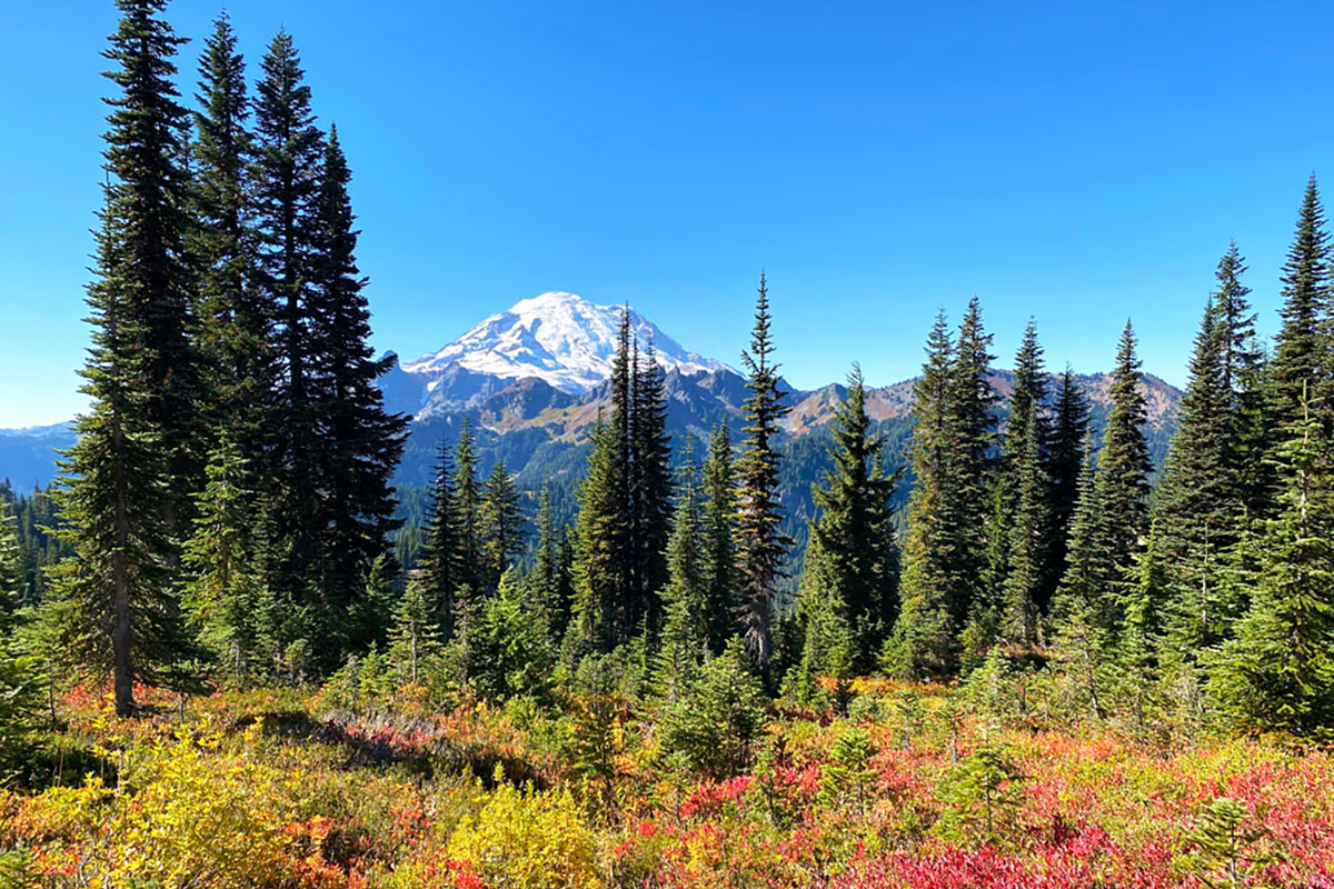 Best things to do in Seattle in September: Visit a national park on a free day