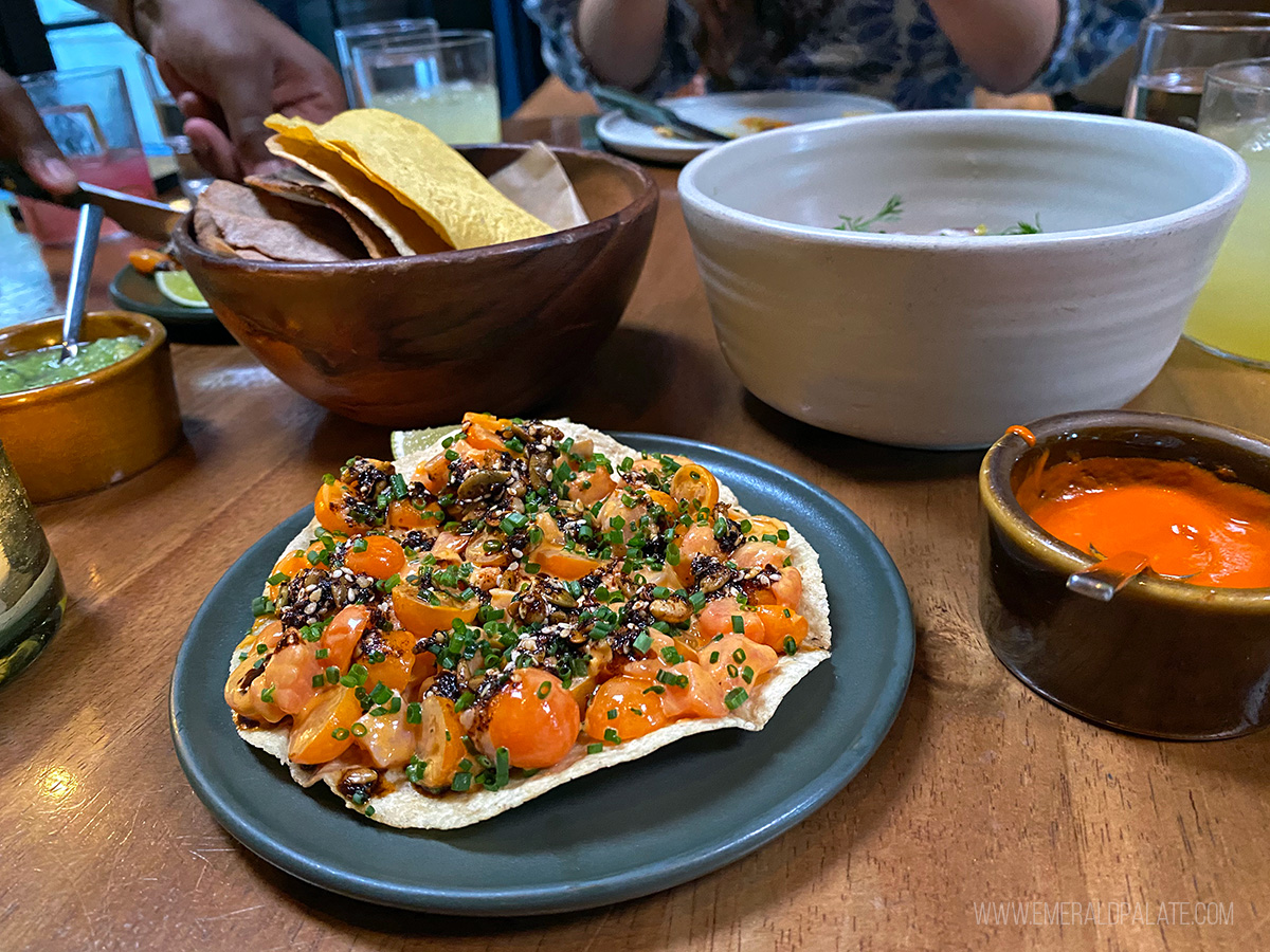 salmon tostada from a unique LA restaurant