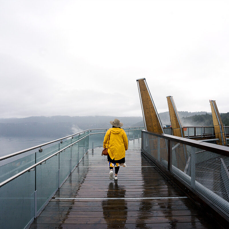 woman walking on the top of the Malahat Skywalk, one of the best things to do in Cowichan Valley BC