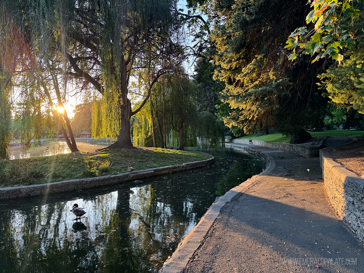 pond in Pioneer Park, one of the best things to do in Walla Walla