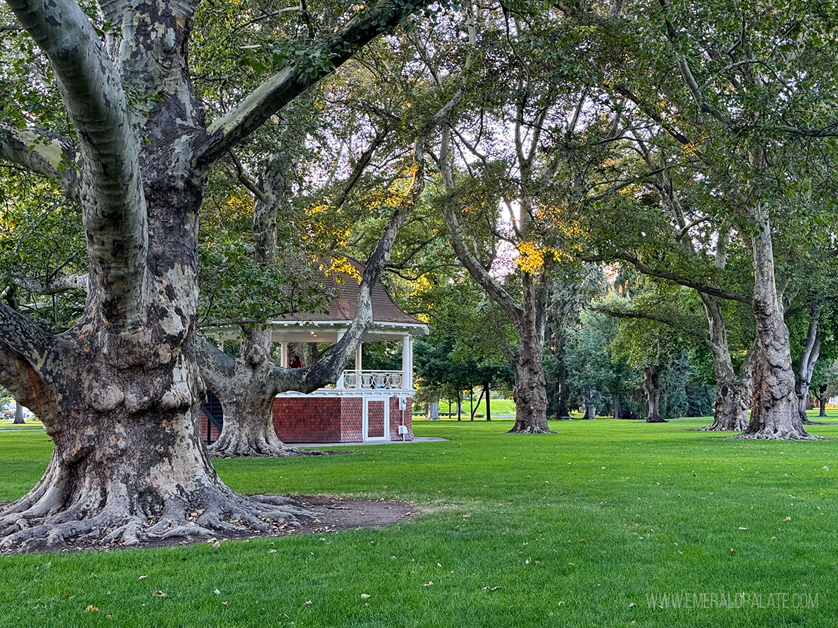 Pioneer Park gazebo surrounded by trees