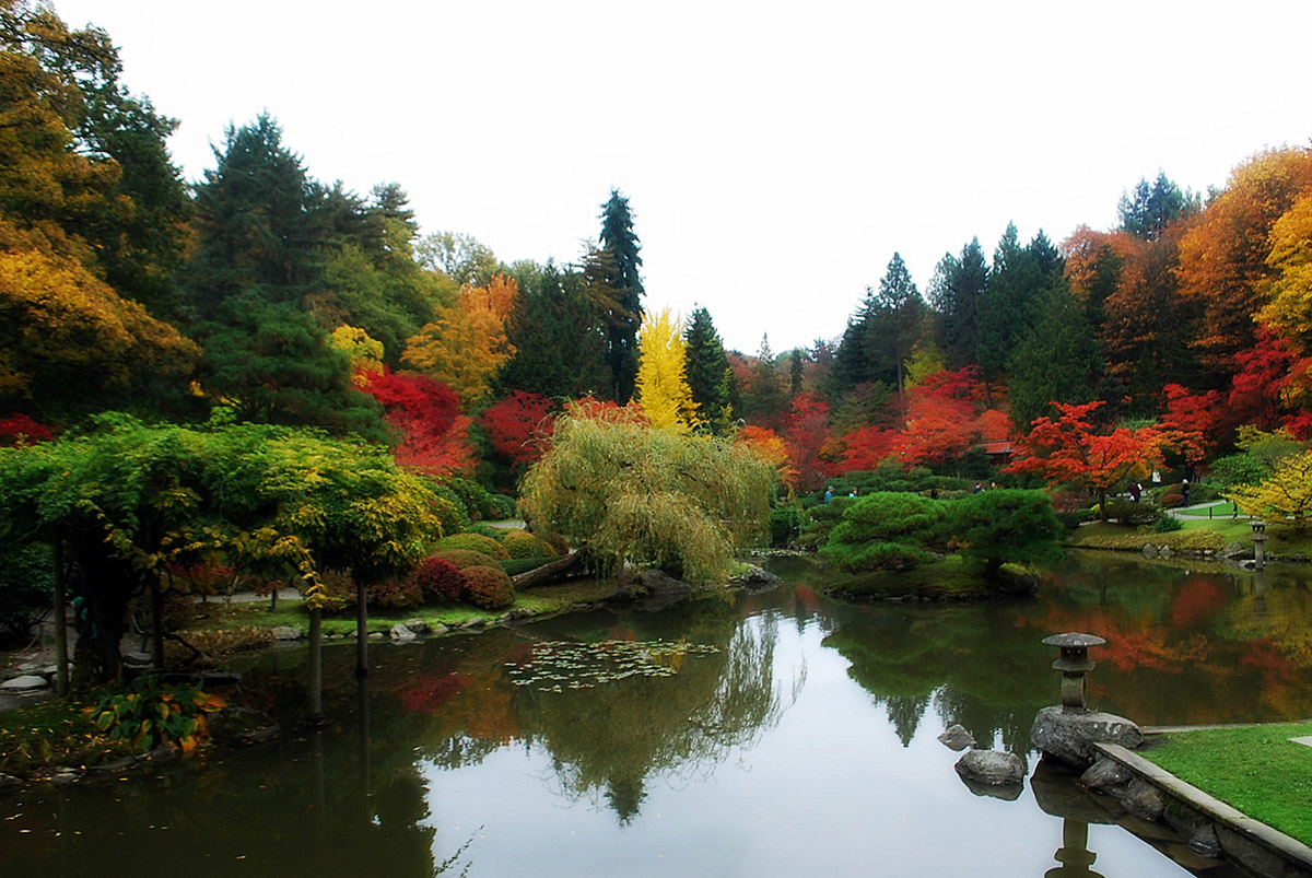 Japanese gardens in Seattle