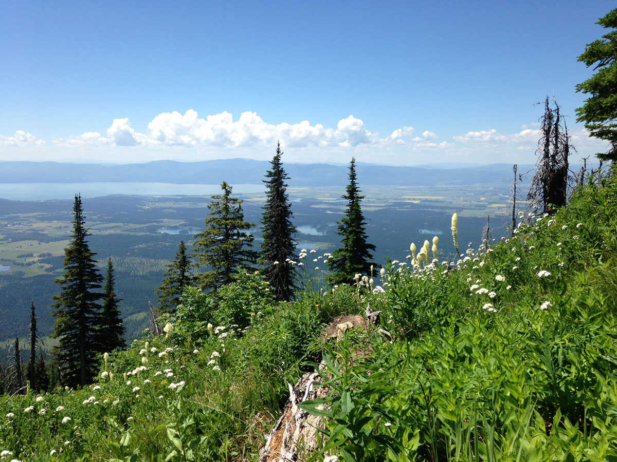 Jewel basin, a must do hike near Kalispell